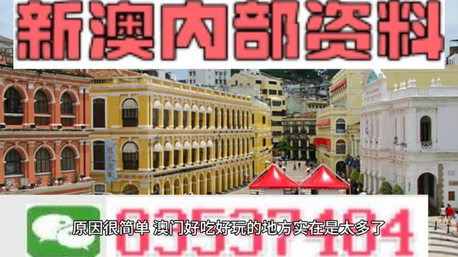 澳门全年资料内部公开_正版免费请全面释义、解释与落实