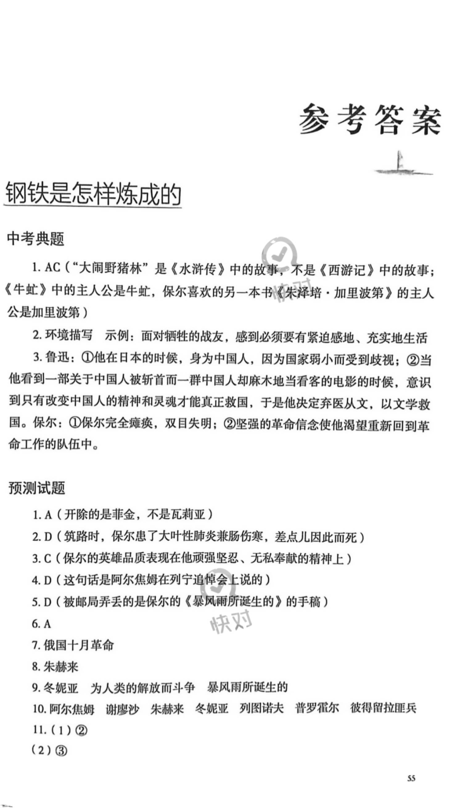 2025澳门正版资料免费公开,免精选解析、解释与落实