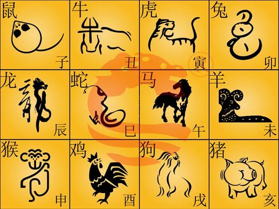 晚上生肖是什么生肖请全面2释义、解释与落实
