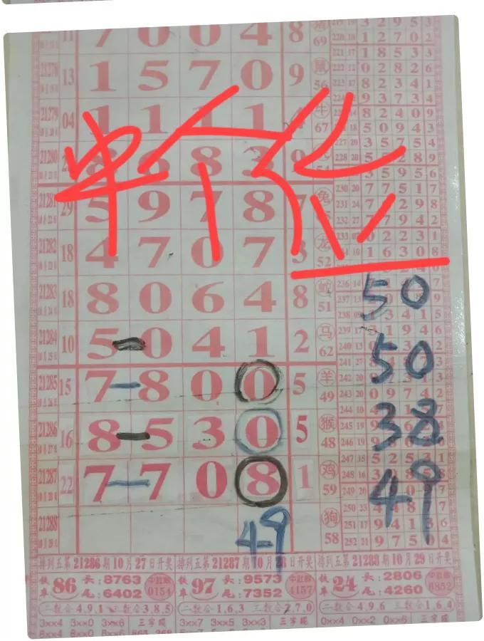 今晚开奖开什么号码仔细释义、解释与落实