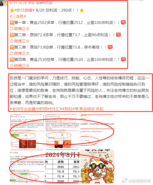 澳门管家婆100正确精选解析、解释与落实