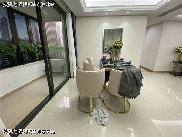 2025今晚开什么生肖详细解答、解释与落实