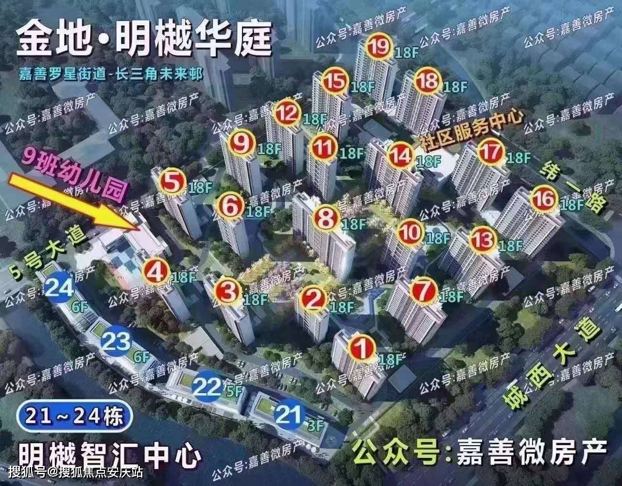 新奥800图库800图片详细解答、解释与落实