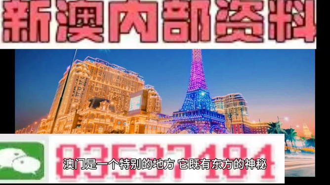 澳门全年资料内部公开_正版免费请全面释义、解释与落实