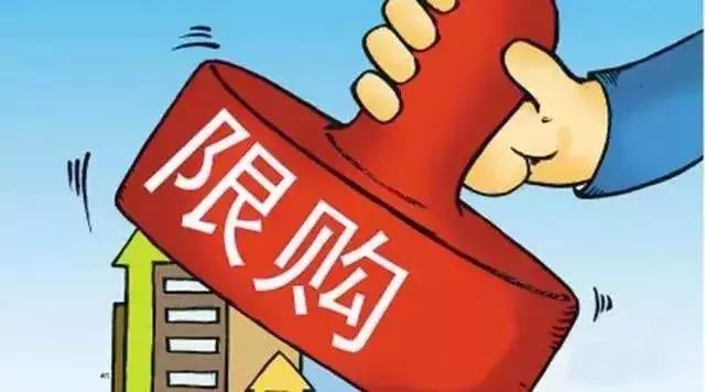 2025年新澳正版资料查询仔细释义、解释与落实